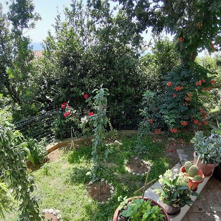 Vesna Apartments Ούλτσιν Εξωτερικό φωτογραφία